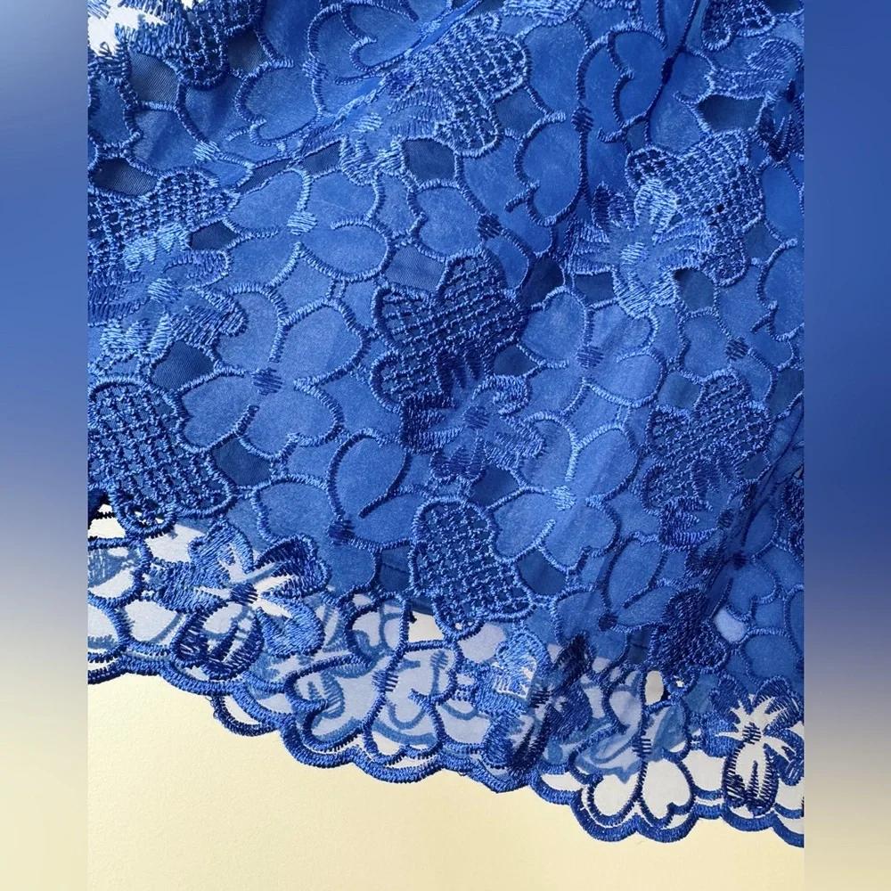 Anthropologie Blue Lace Mini Dress - Picture 10 of 14